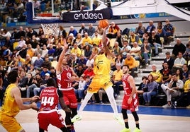Homesley lanza a canasta en el encuentro entre ambos equipos en la primera vuelta en el Gran Canaria Arena.