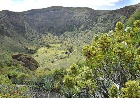 Imagen de archivo de la caldera de Bandama, donde se registró la última erupción en Gran Canaria.