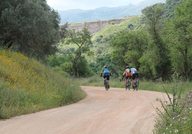 El último tramo es prácticamente llano y puede ser idóneo para ir en bicicleta
