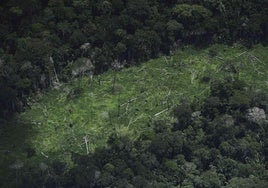 Vista aérea de una zona deforestada en Brasil.