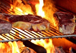 ¿Qué prefieren carne con un año de cámara o con diez días?