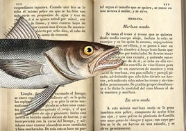 Ilustración de merluza (1785) y recetas vascas de pescado en el 'Manual del cocinero, cocinera y repostero' (2ª edición, 1829).