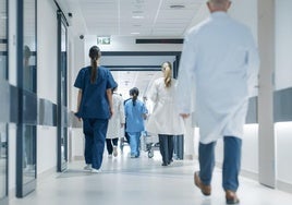 Euskadi califica de «opa hostil» la oferta de Cantabria para captar a médicos de familia