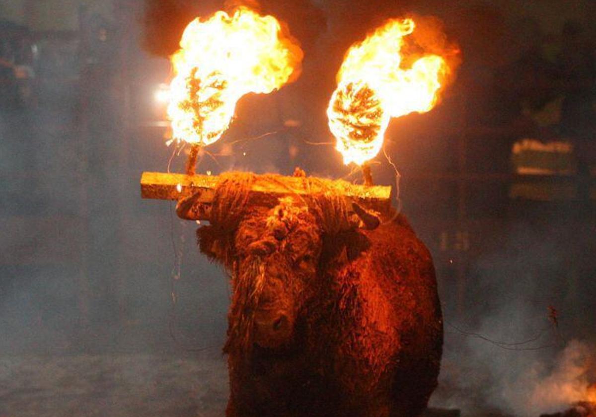 Un juzgado de Soria suspende la celebración del Toro Jubilo de Medinaceli este sábado