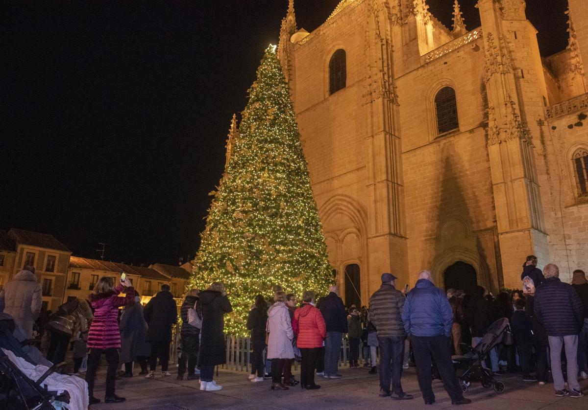 Un gran árbol de Navidad luce en la Catedral