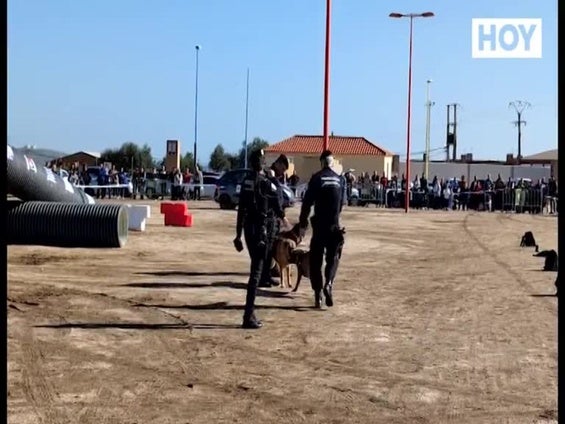 La Policía Local de Villanueva de la Serena presume de unidad canina en su 175 aniversario