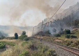 Un tren que circulaba con los frenos puestos provocó los incendios de ayer en varios puntos de Fuenmayor, Cenicero y El Cortijo