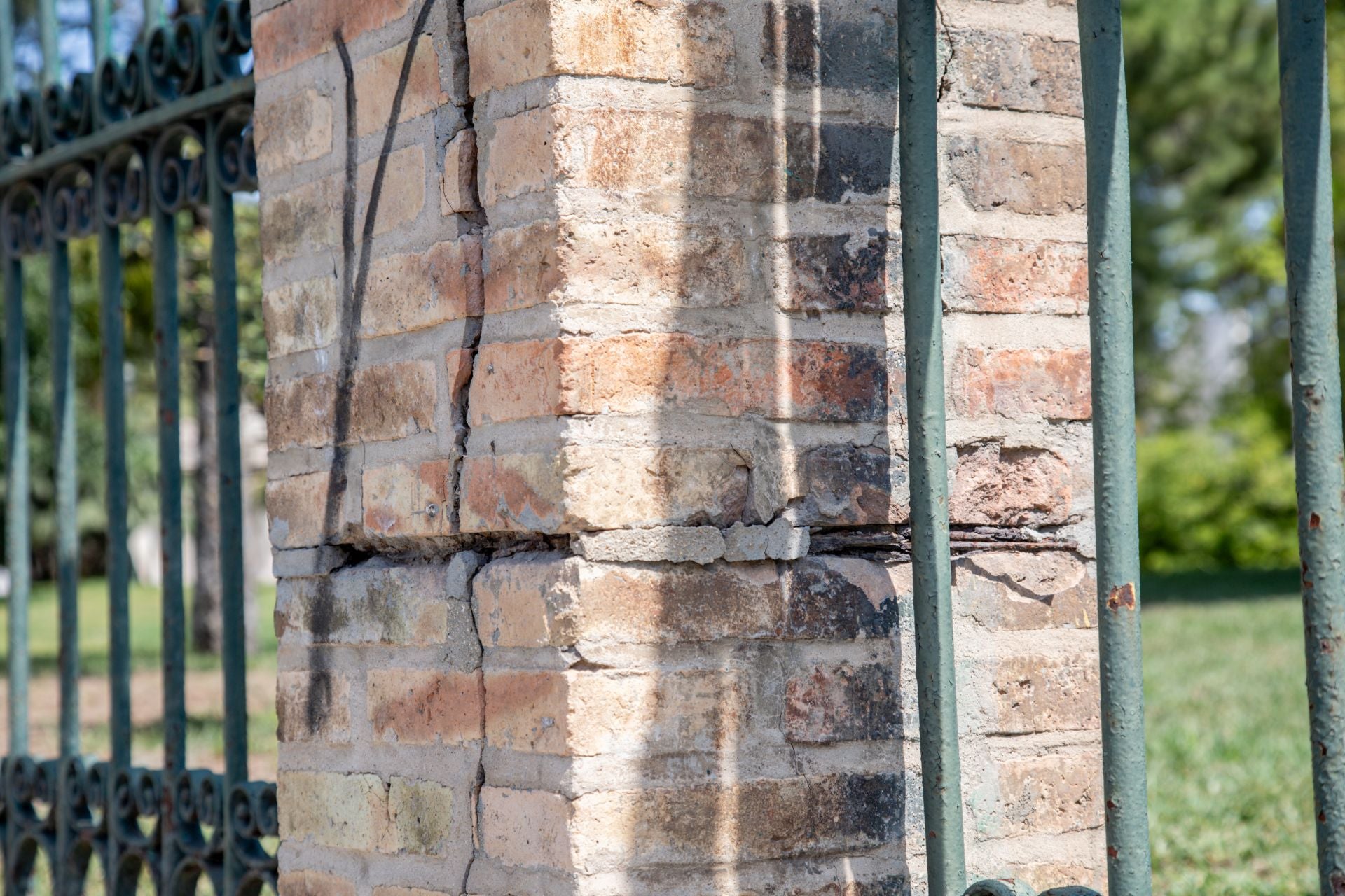 FOTOS | Dejadez y desperfectos en los jardines de Viveros de Valencia