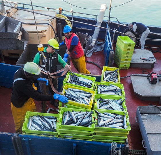 Pescadores en un barco.