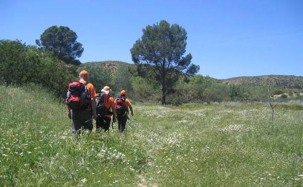Primavera florida en Cañaverosa