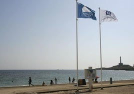 Bandera azul en Cabo de Palos, en una imagen de archivo.