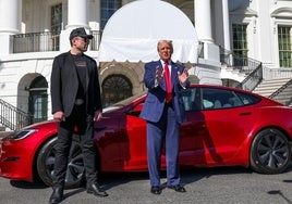 Las ganancias de Tesla se desploman casi un 71% tras la incursión política de Musk
