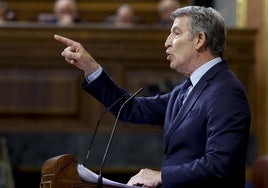 Alberto Núñez Feijóo, este miércoles en su intervención en el Congreso.
