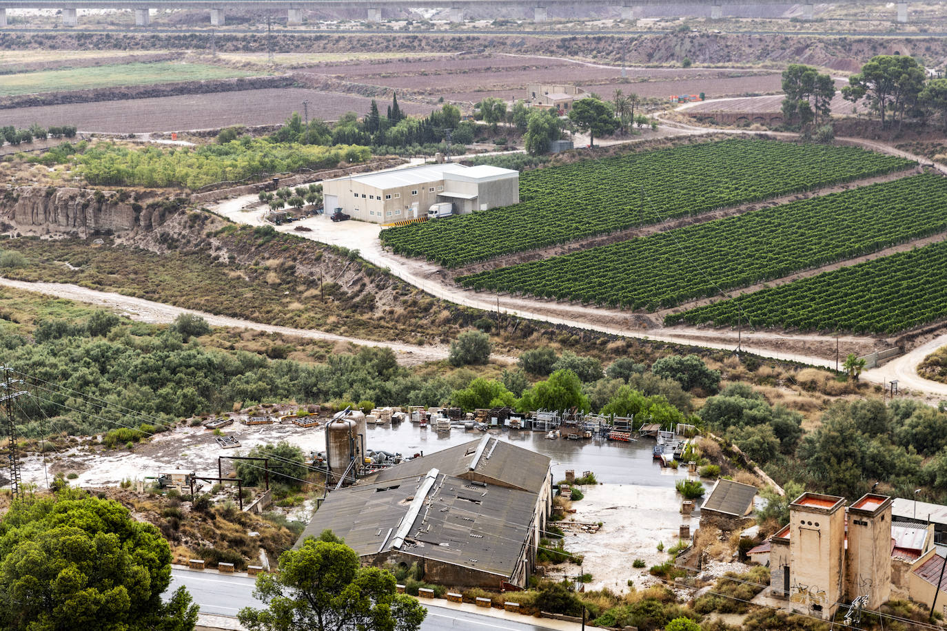 Las tormentas de septiembre salvan las vides y los almendros de las comarcas del norte de Alicante